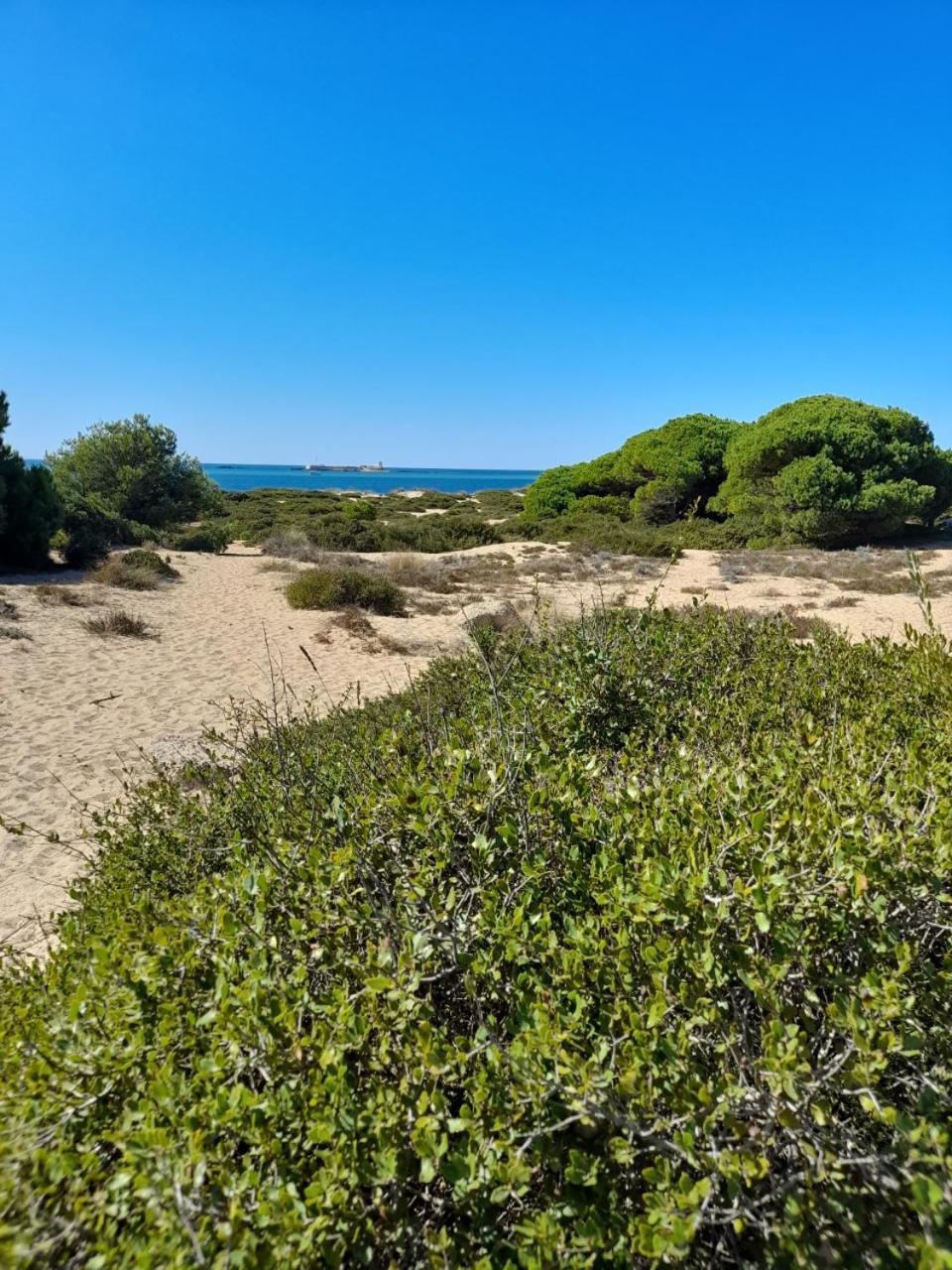 Playa La Barrosa Appartement