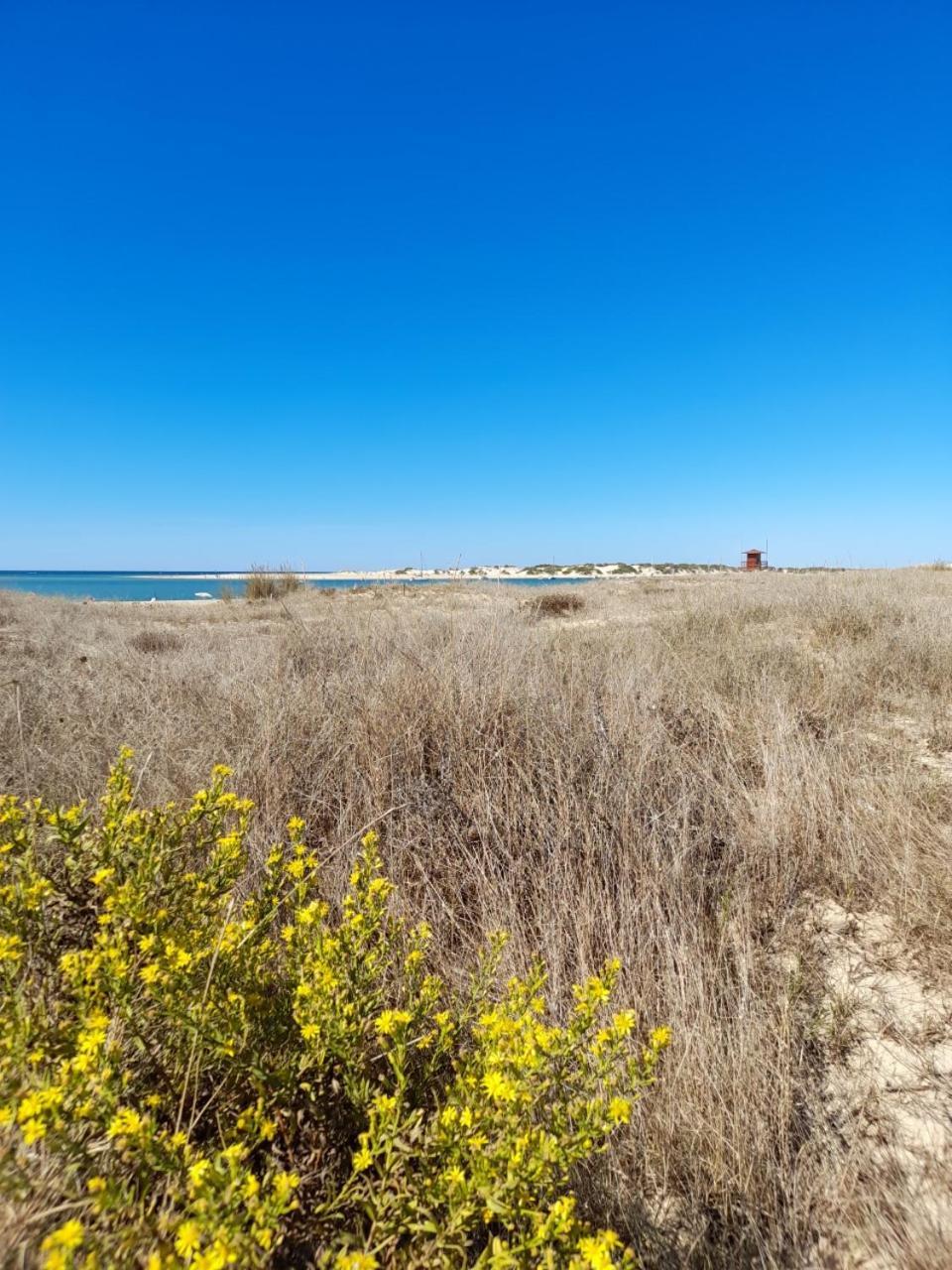 Playa La Barrosa *